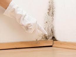 Best Asbestos and Lead Testing During Mold Inspection  in Brookhaven, GA